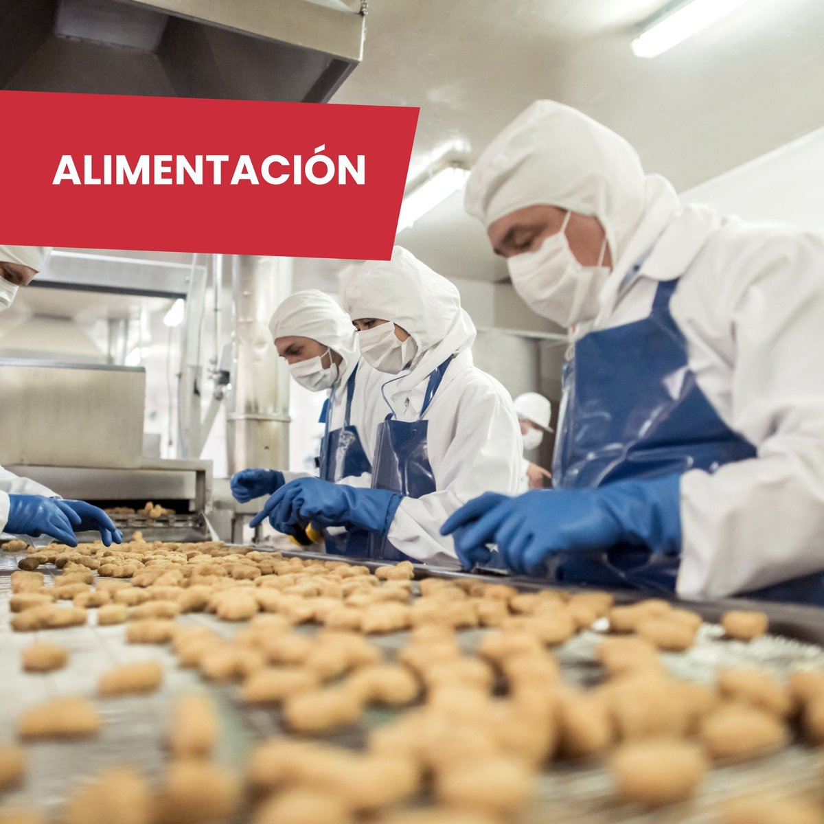 Alimentación
